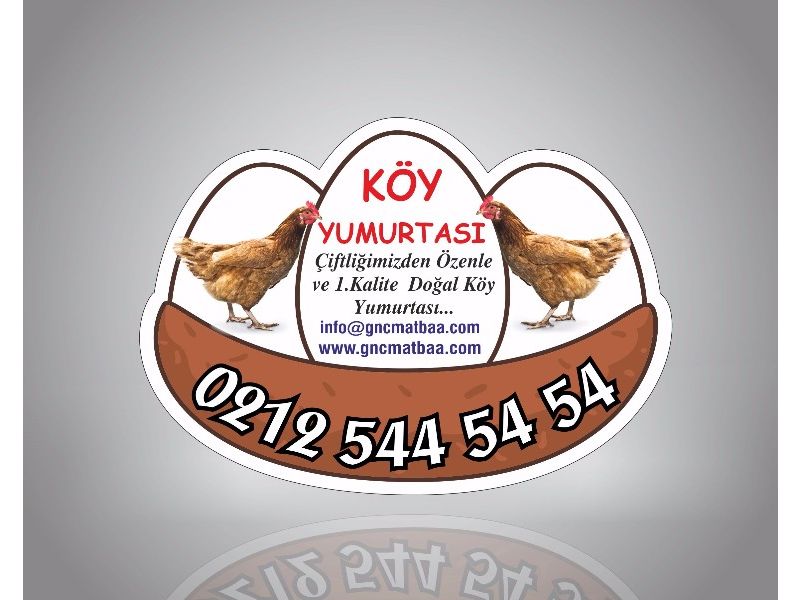 Organik Köy Yumurtası Şeklinde 6,8x5,5 Magnet ORGN-04