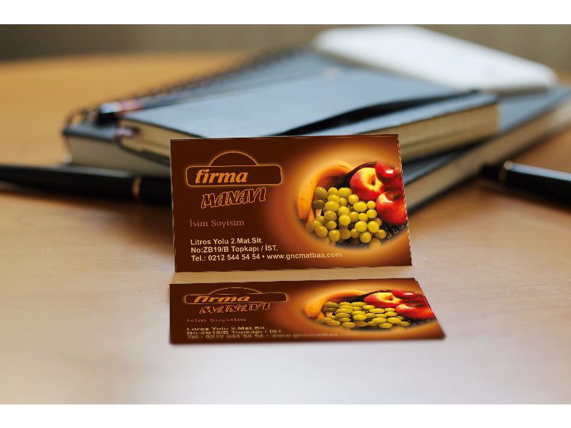 Manav Hal Kartvizit  MNHL-04