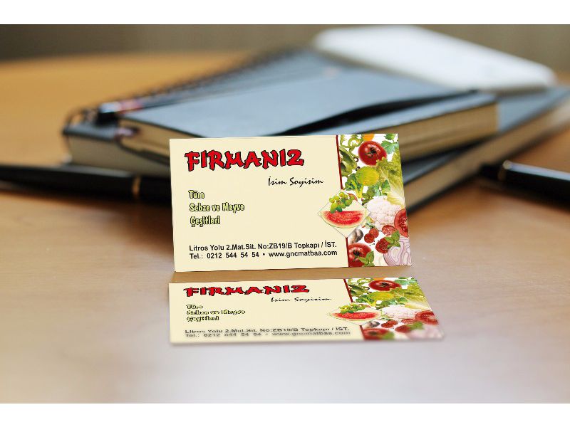 Manav Hal Kartvizit  MNHL-02